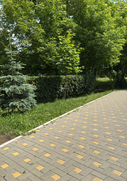 image (73).png